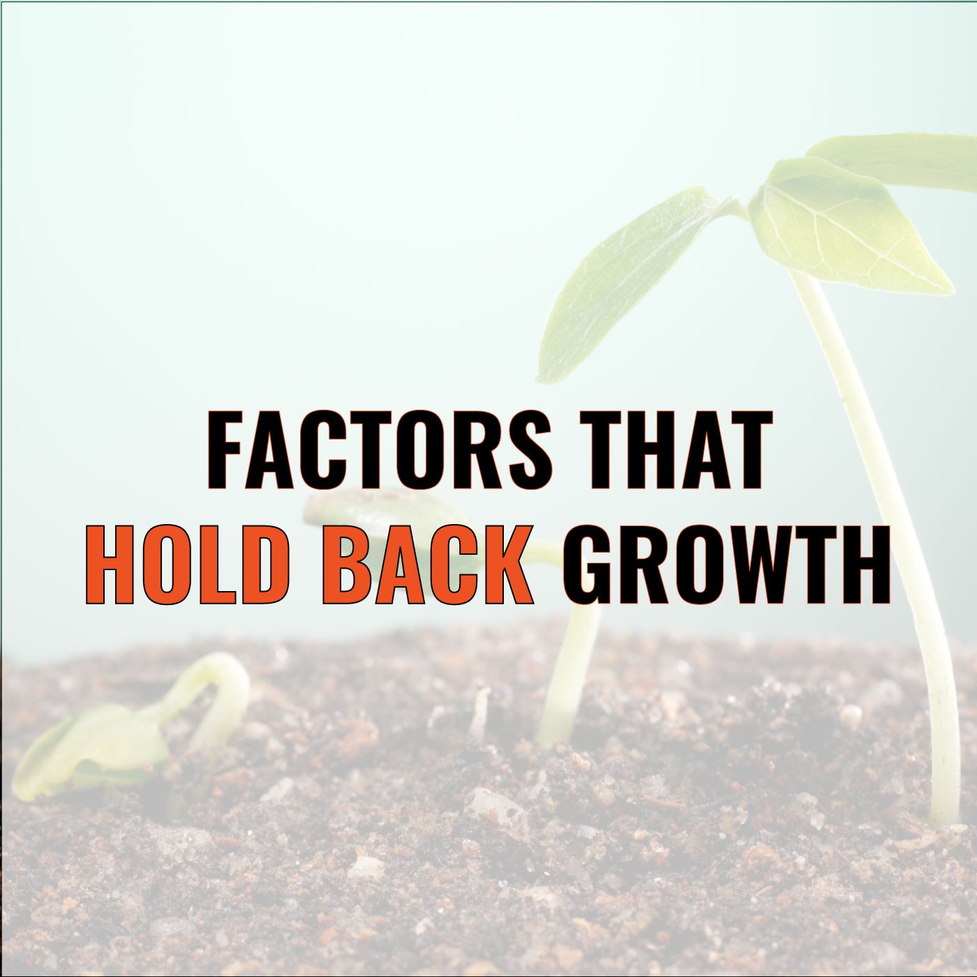 Episode 70: Jonathan David Lewis on Factors That Hold Back Growth