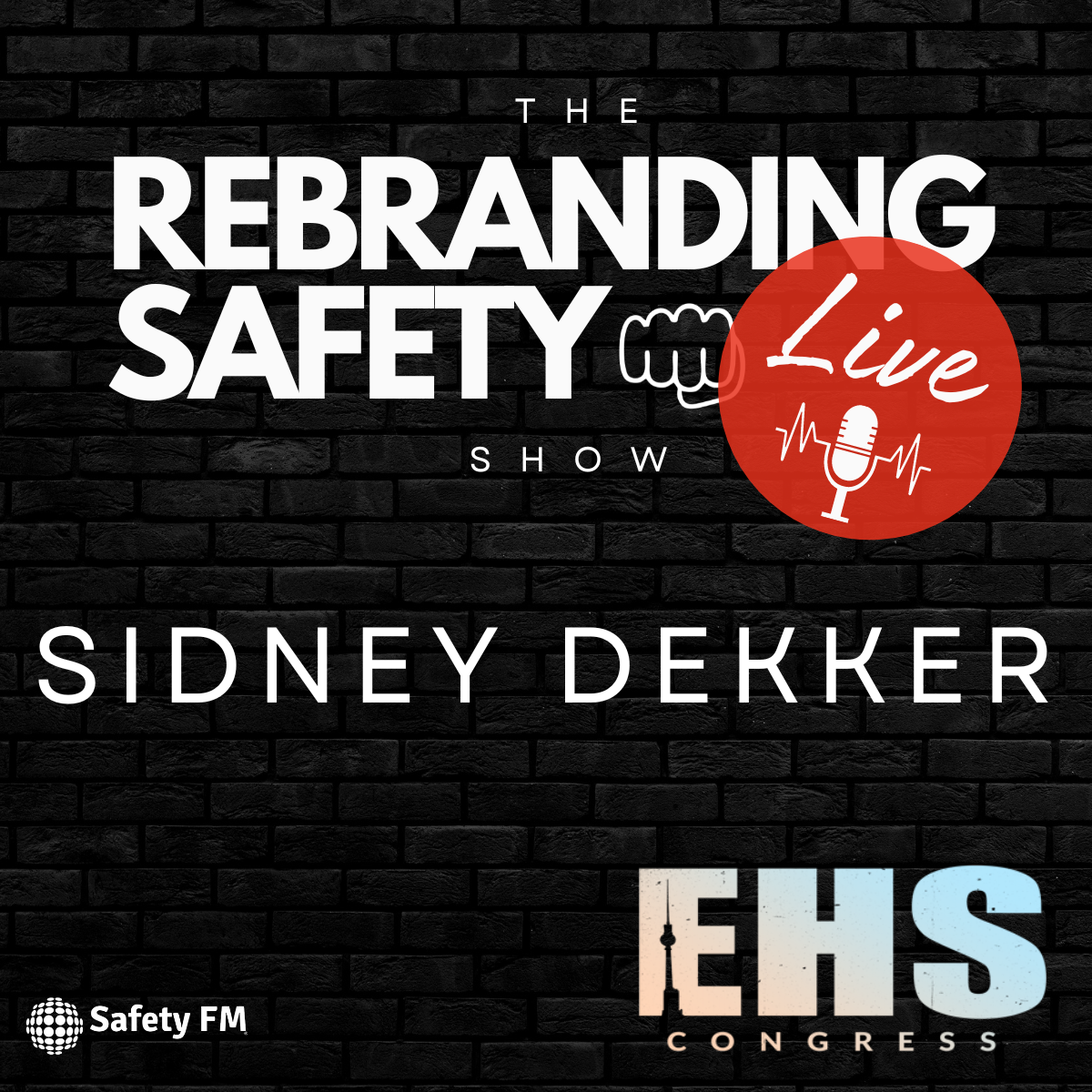 Sidney Dekker | The Rebranding Safety Show Live from the EHS Congress 2024