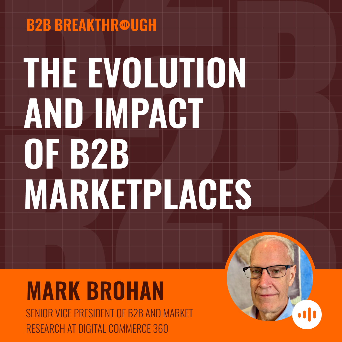 The Evolution and Impact of B2B Marketplaces with Mark Brohan