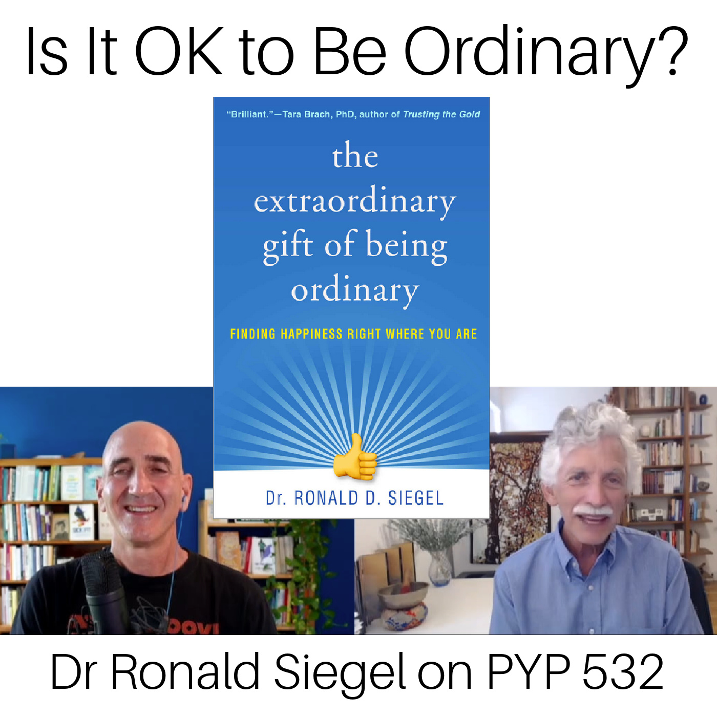 Is It OK to be Ordinary?: Dr Ronald Siegel on PYP 532