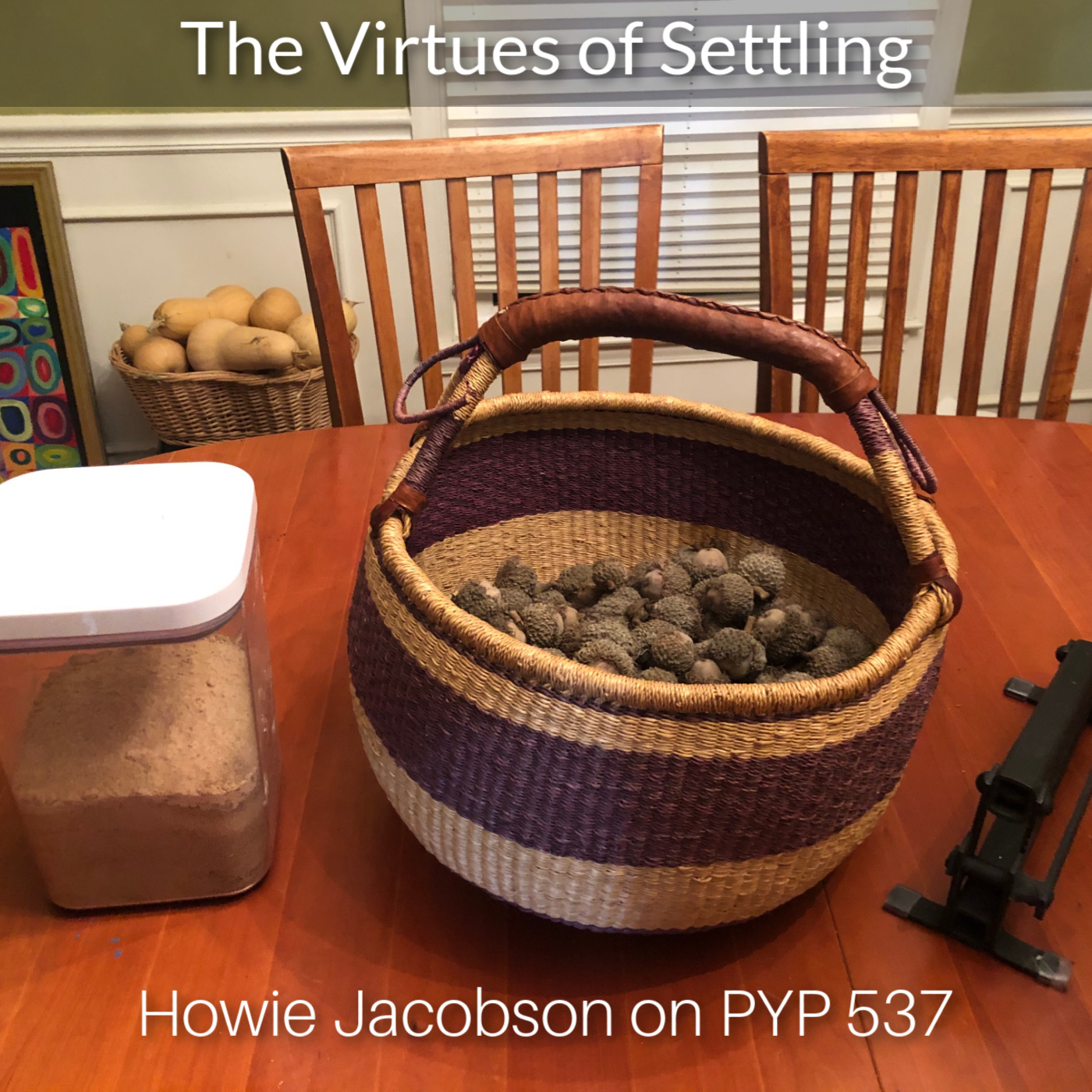The Virtues of Settling: Howie Jacobson on PYP 537
