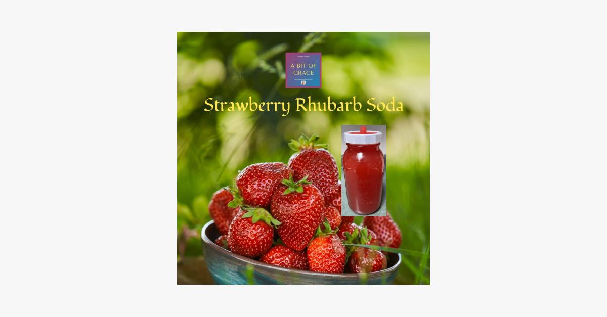 Summer Fizz - Refreshing Strawberry Rhubarb Soda