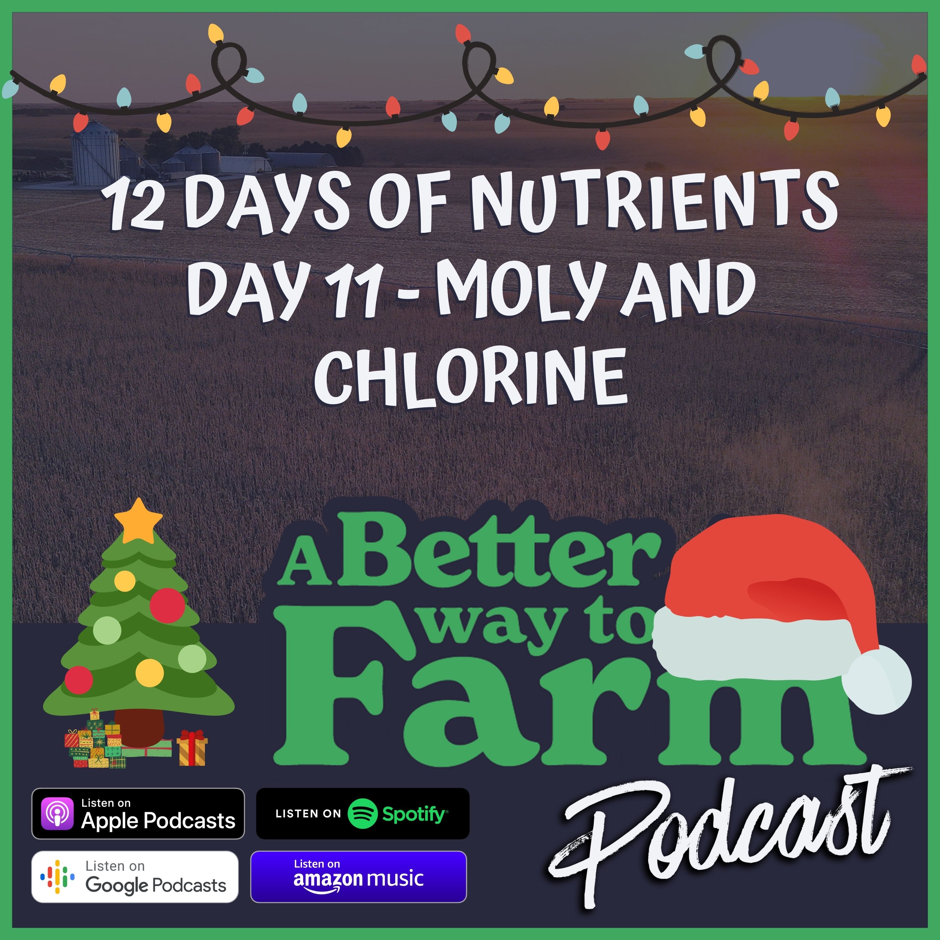224: 12 Days of Nutrients - Day 11 Moly and Chlorine