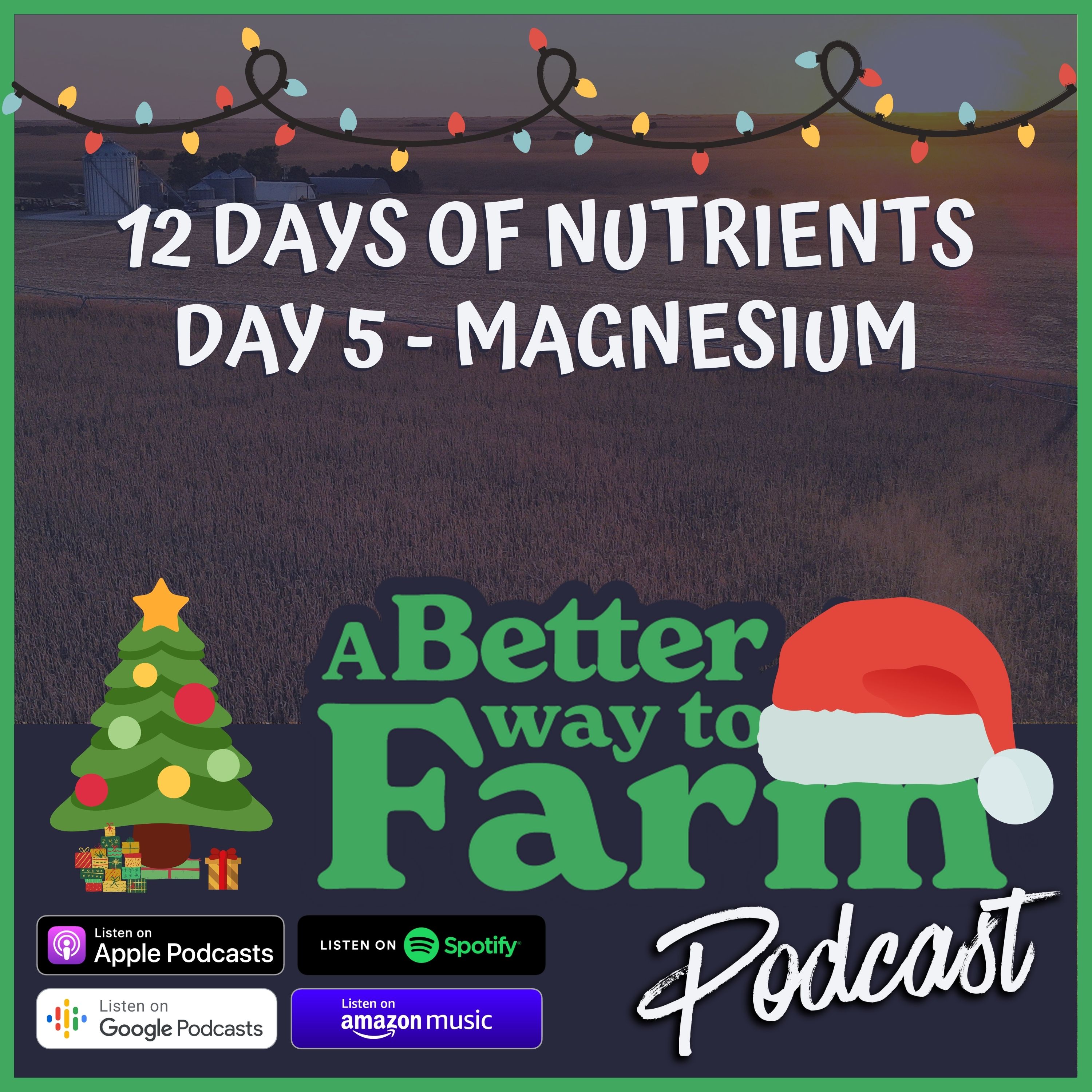 155: 12 Days of Nutrients - Day 5 Magnesium