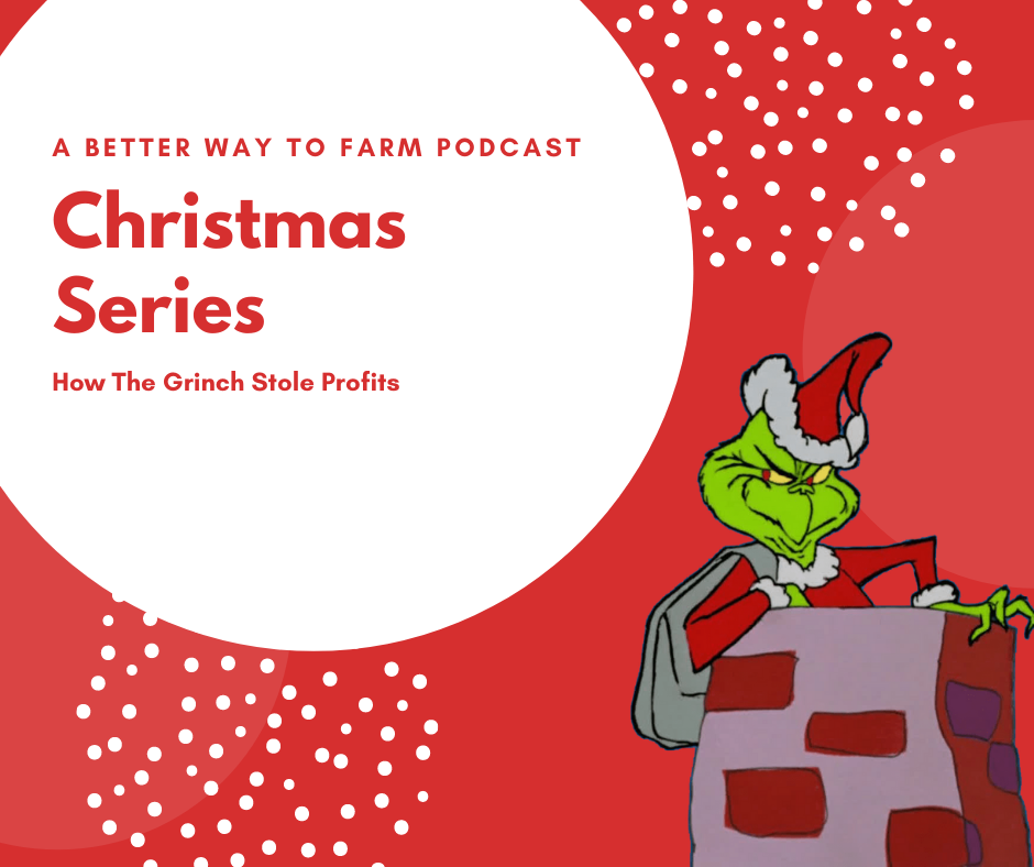 How the Grinch Stole Profit Christmas Special S2 Ep16