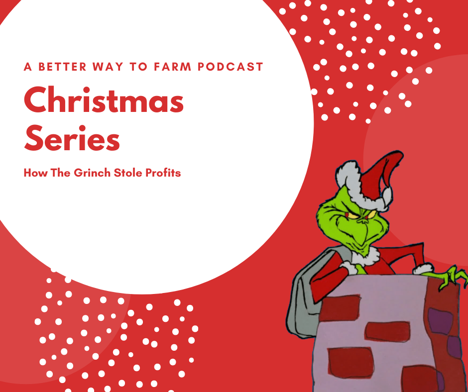 How the Grinch Stole Profits Day 8 S2 Ep24