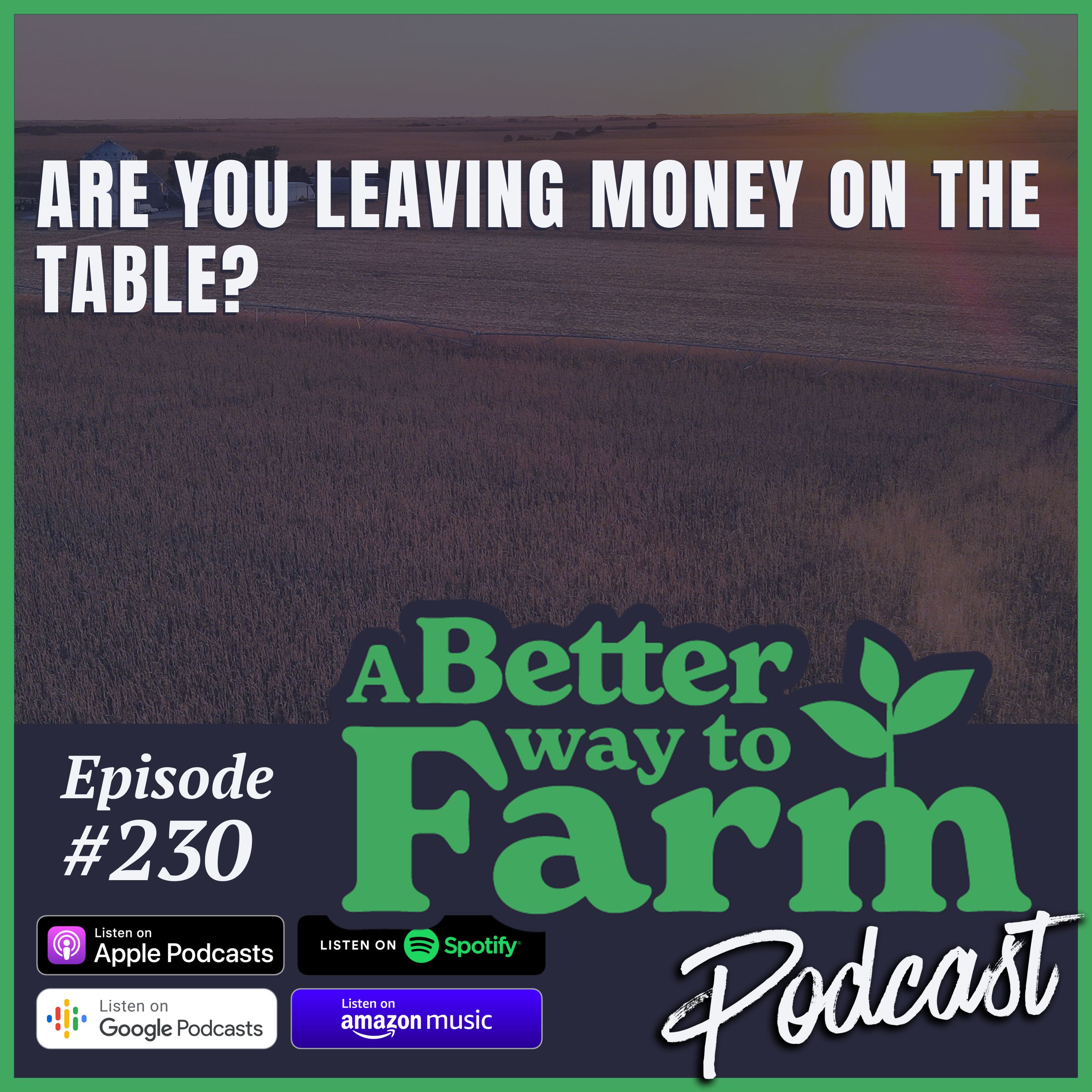 230: Are You Leaving Money On The Table?