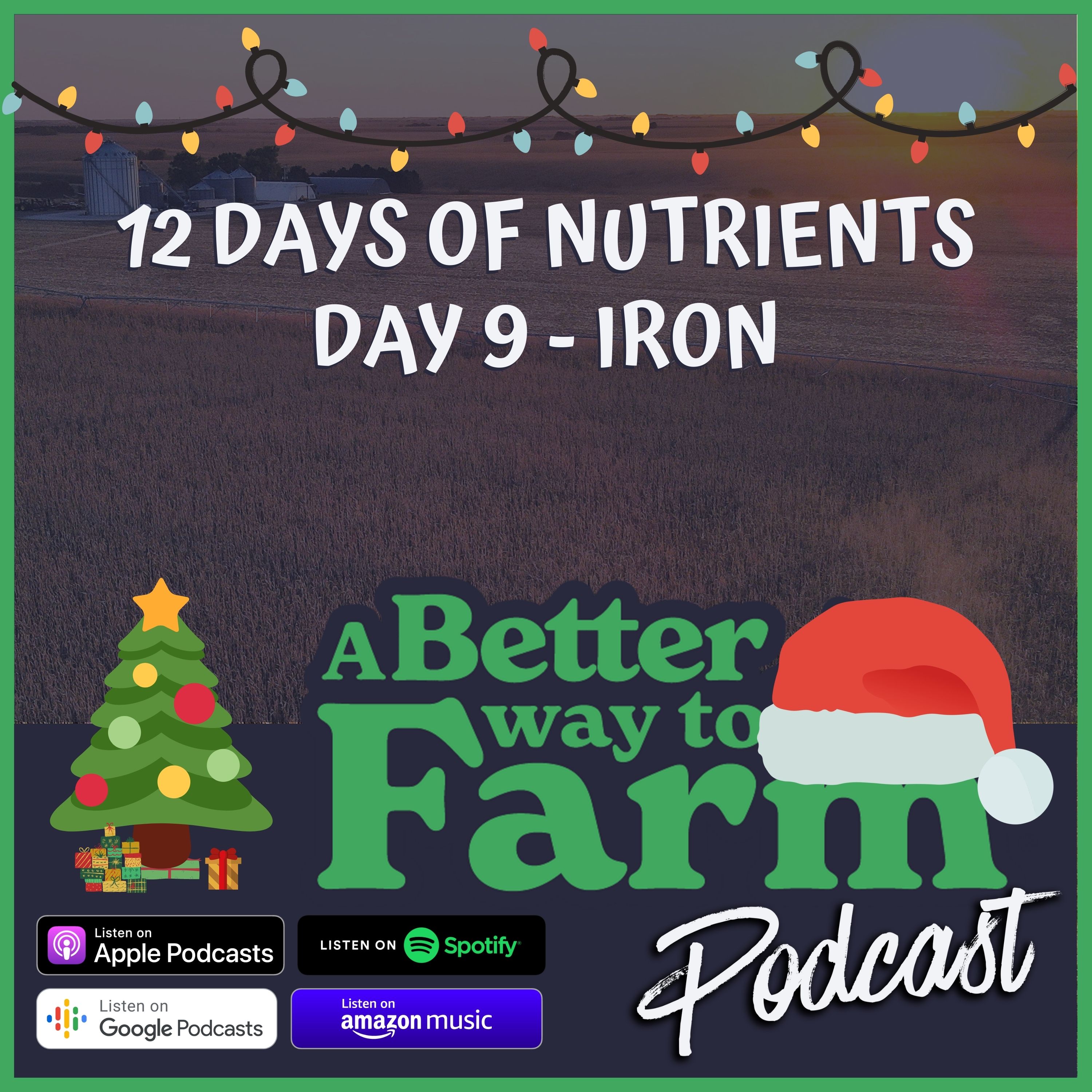 159: 12 Days of Nutrients - Day 9 Iron