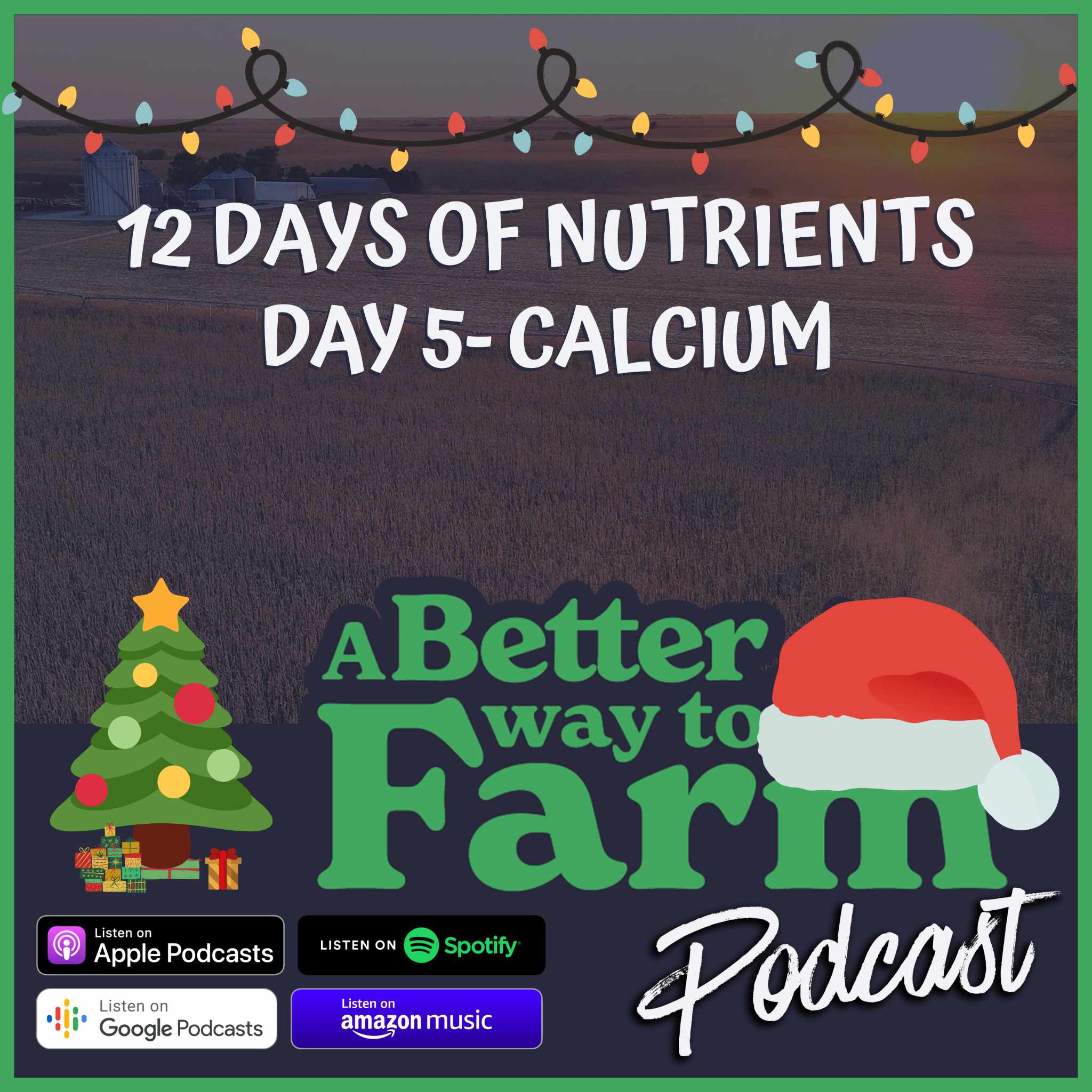 218: 12 Days of Nutrients - Day 5 Calcium