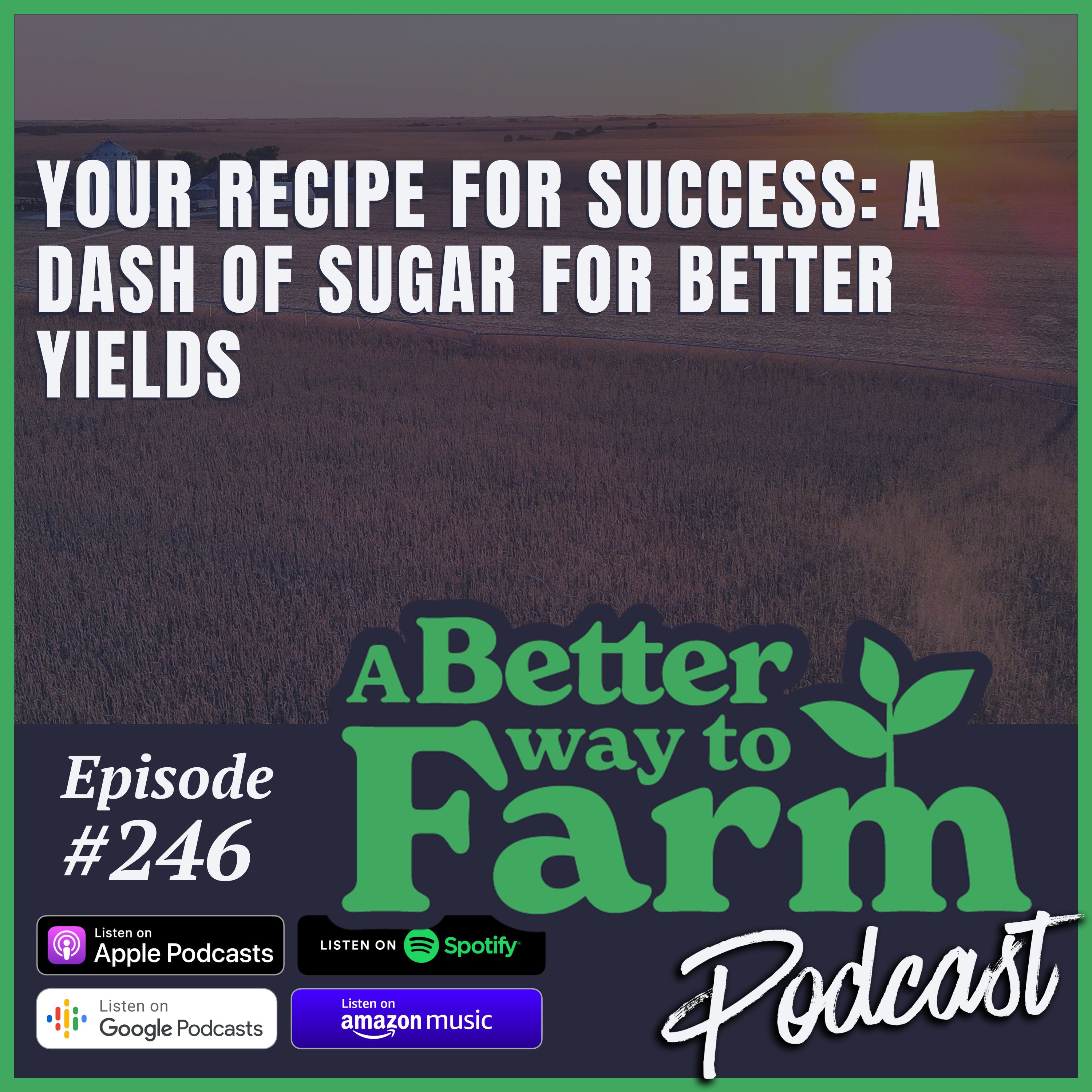 246: Your Recipe For Success: A Dash of Sugar For Better Yields