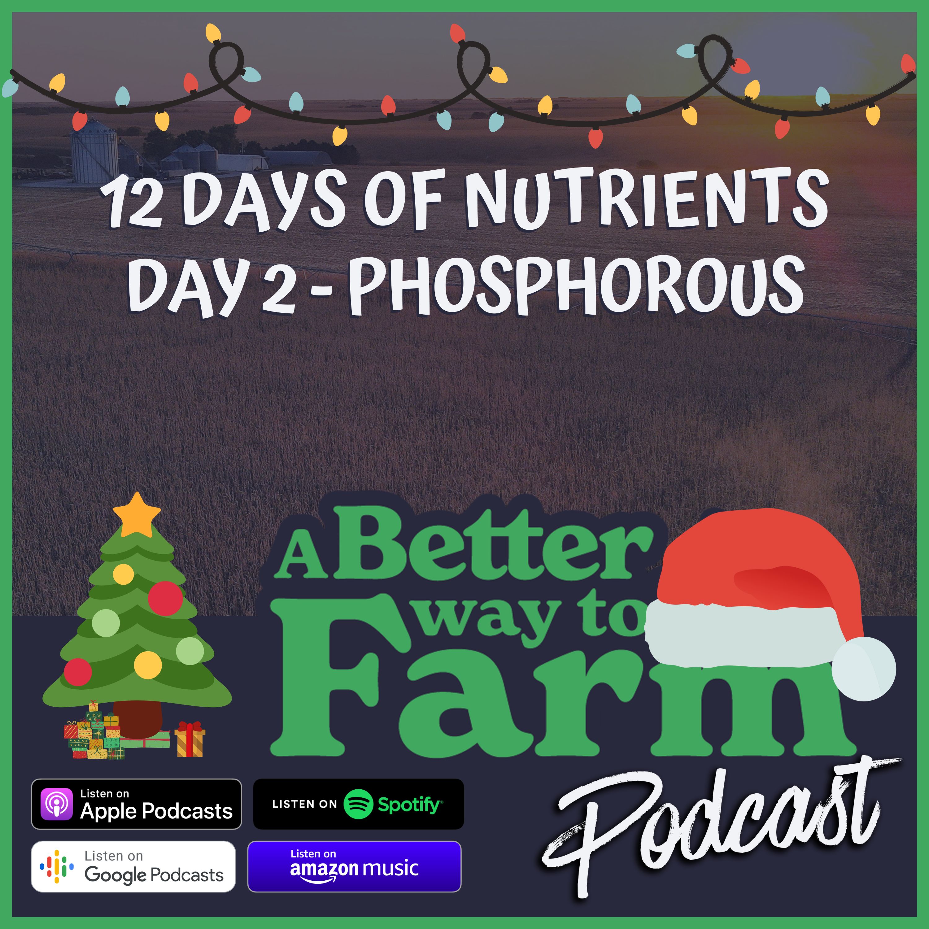 215: 12 Days of Nutrients - Day 2 Phosphorus