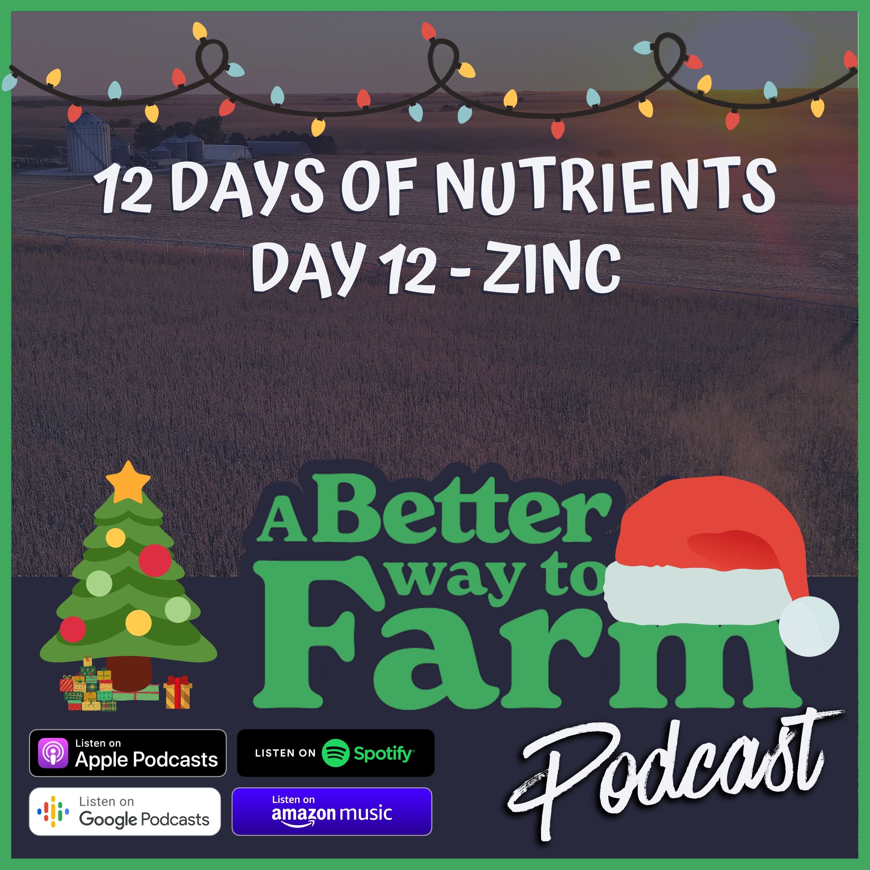 162: 12 Days of Nutrients - Day 12 Zinc