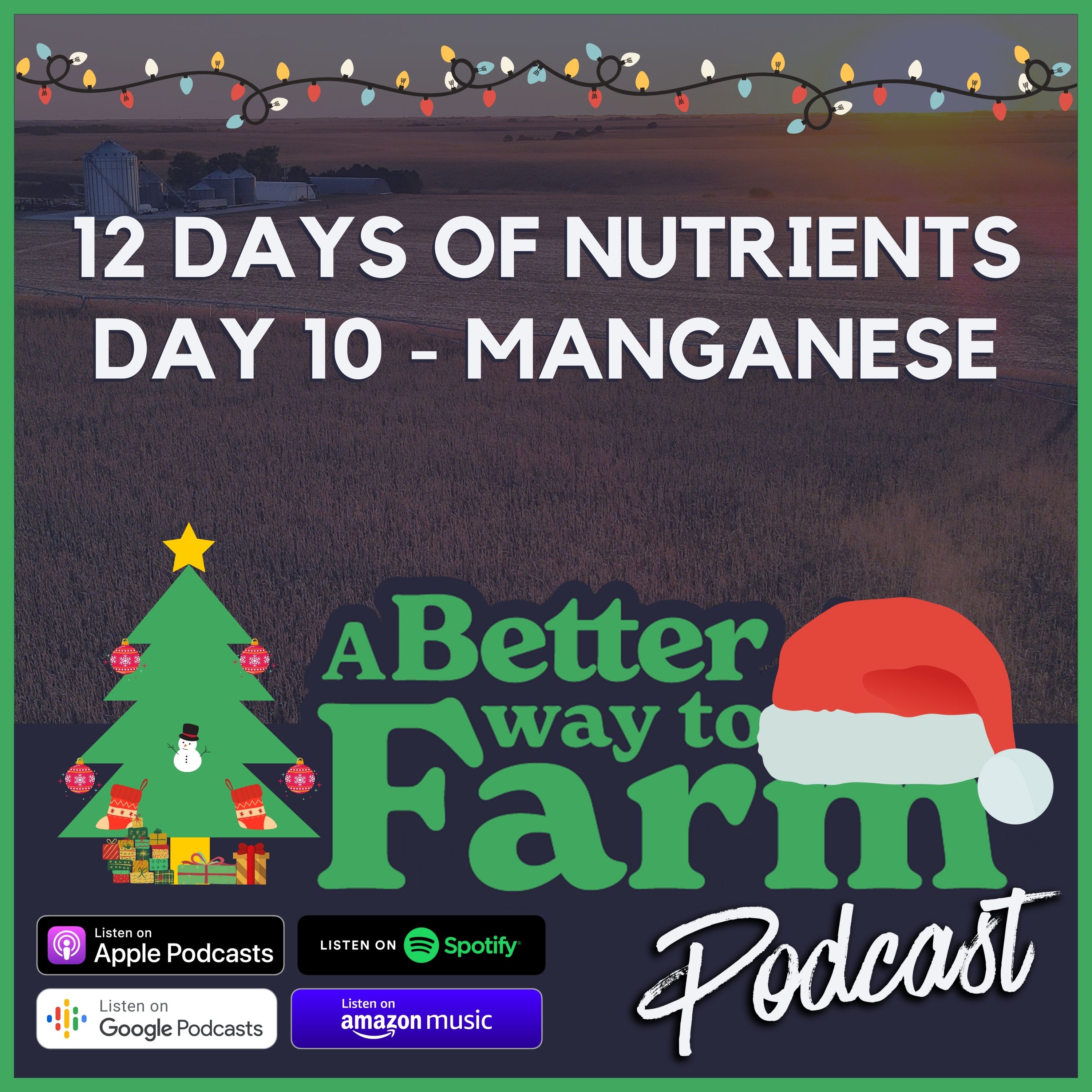 12 Days of Nutrients: Day 10 - Manganese