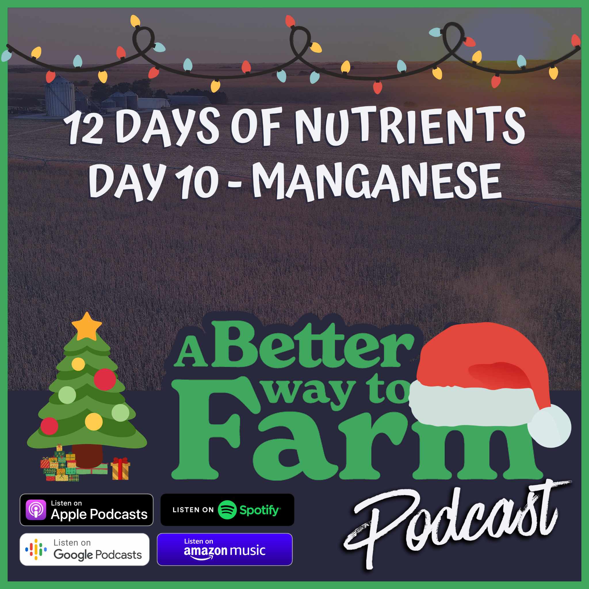 223: 12 Days of Nutrients - Day 10 Manganese