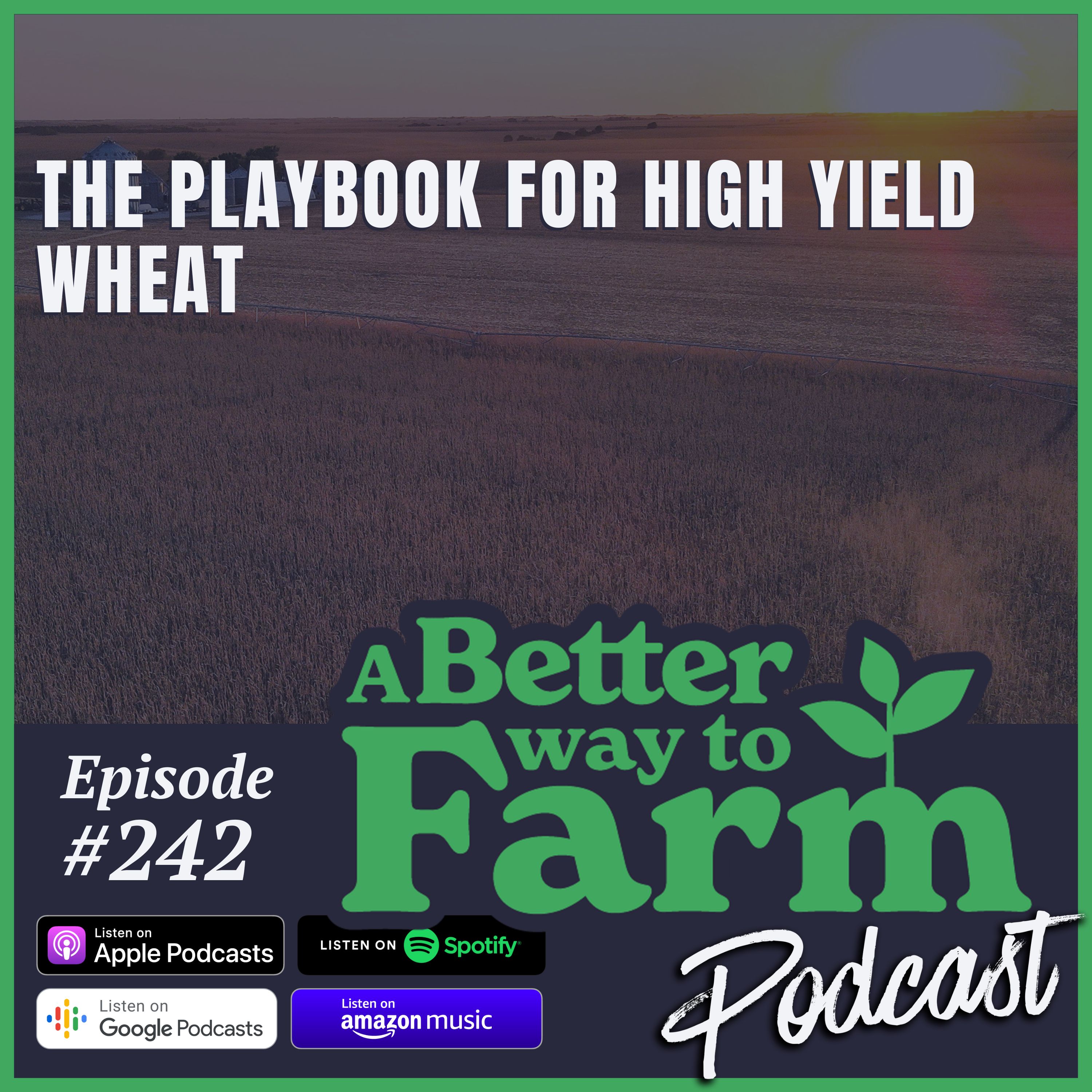 242: The Playbook for High Yield Wheat