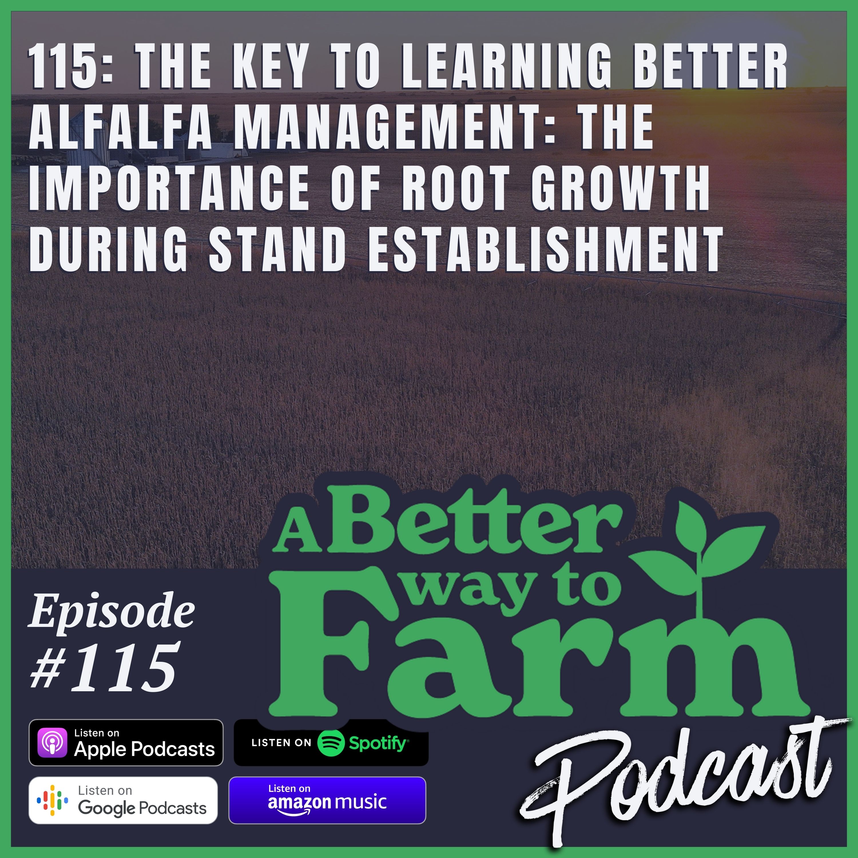 115: The Key to Learning Better Alfalfa Management: The Importance of Root Growth During Stand Establishment