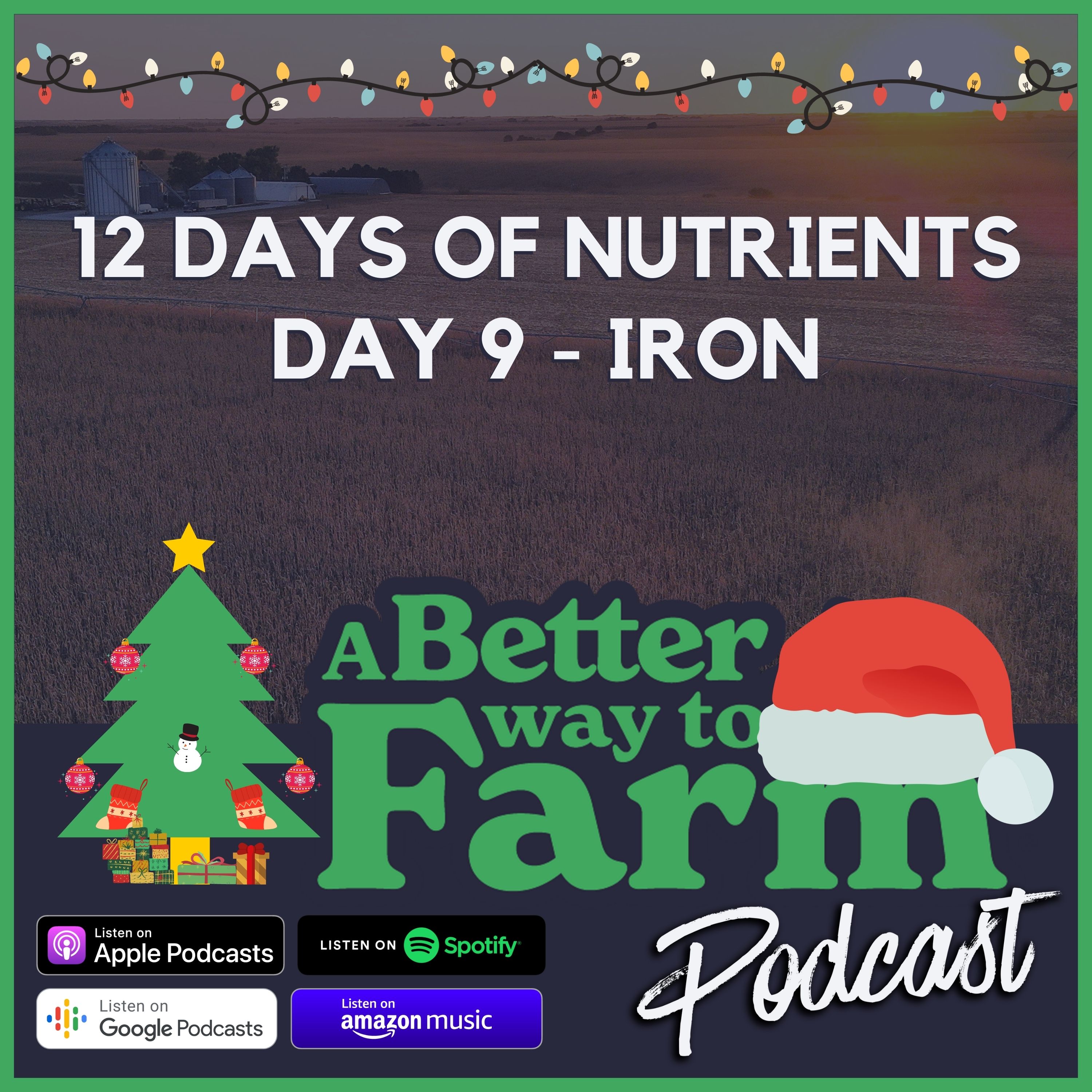 12 Days of Nutrients: Day 9 - Iron