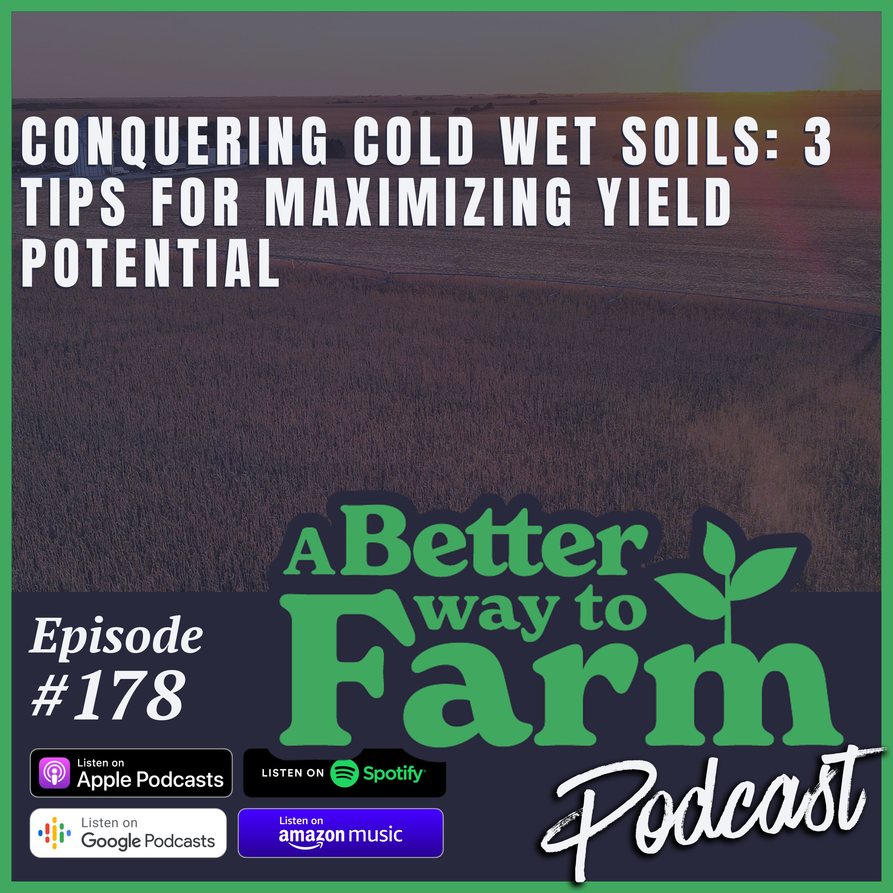 178: Conquering Cold Wet Soils: 3 Tips for Maximizing Yield Potential