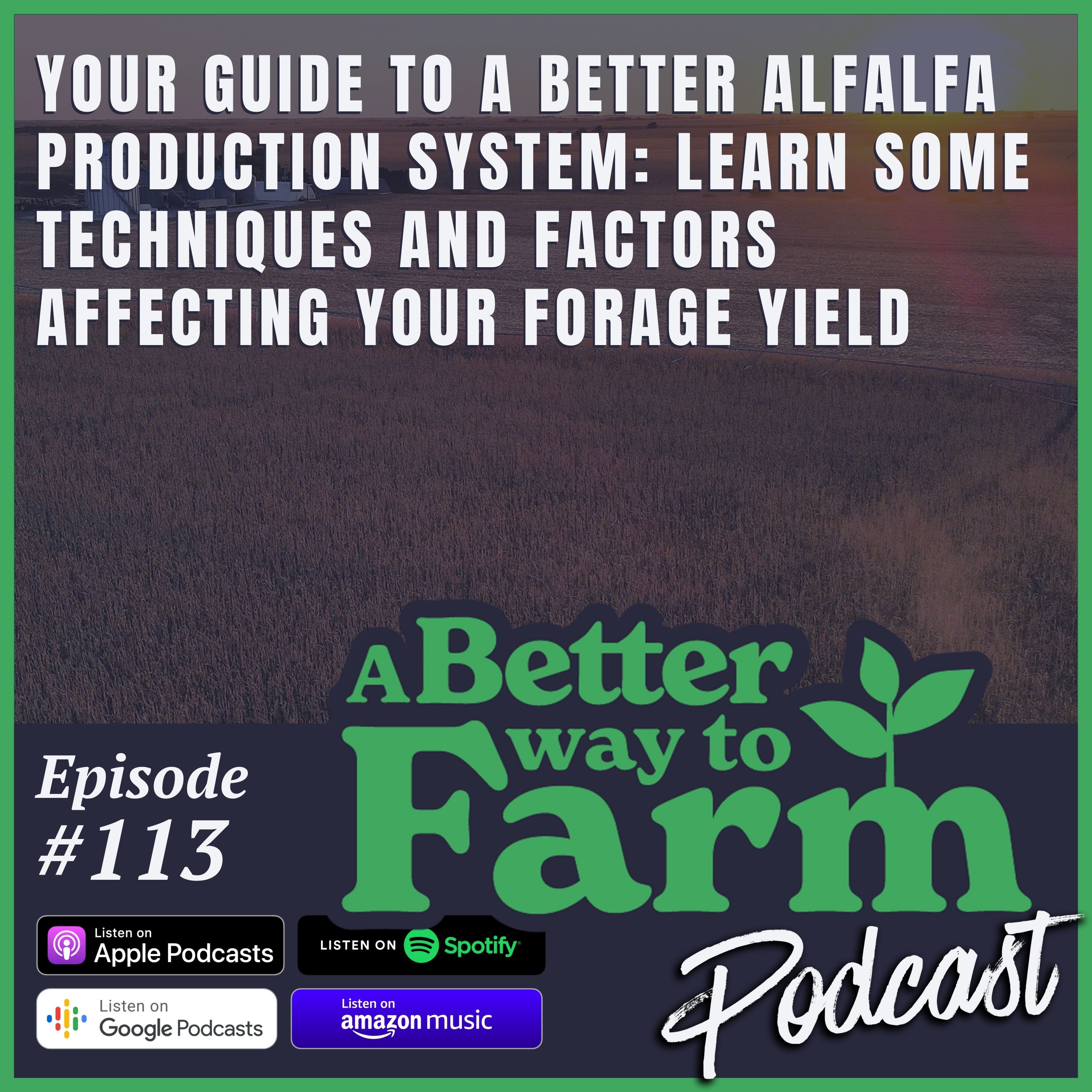 113: Your Guide to A Better Alfalfa Production System: Learn Some Techniques and Factors Affecting Your Forage Yield