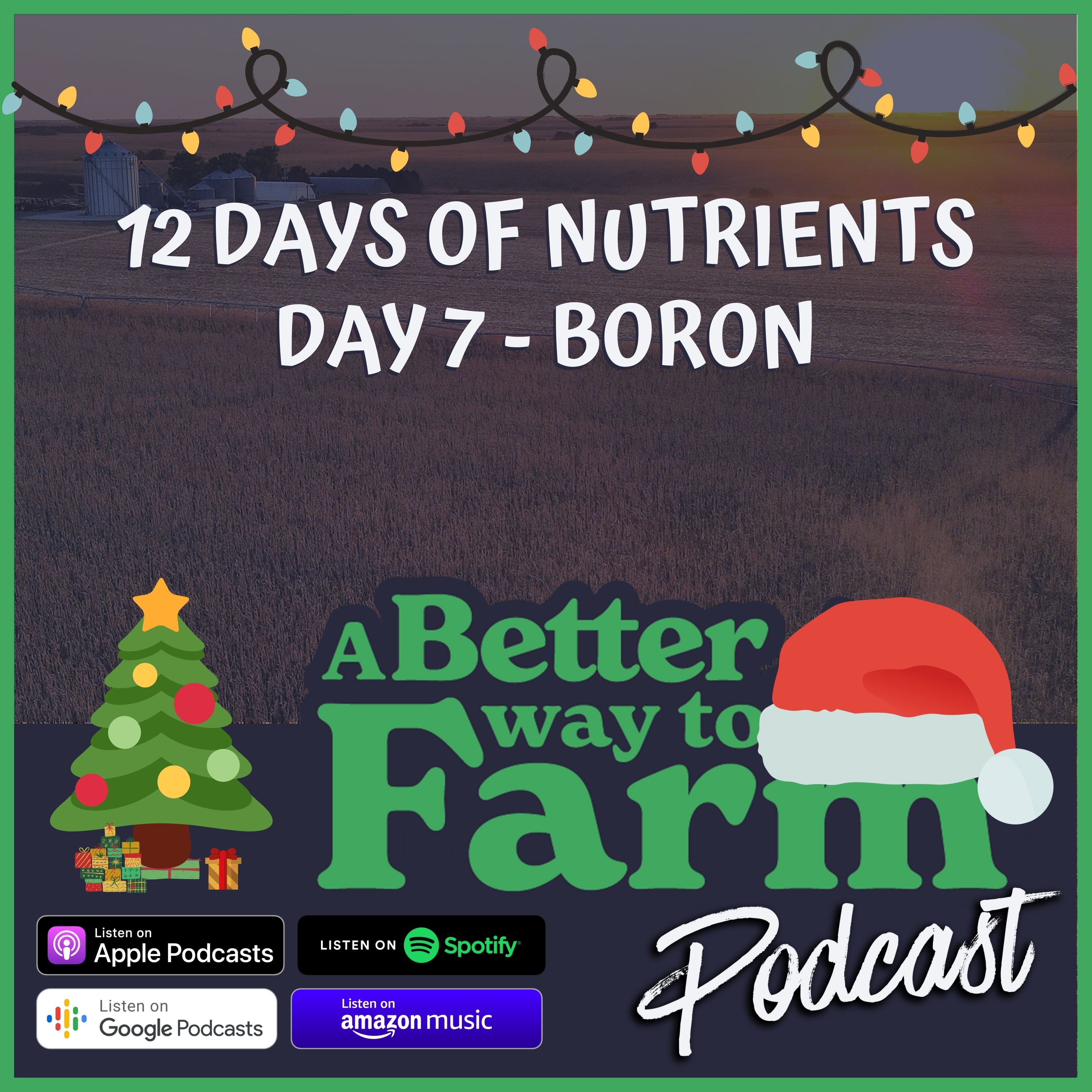 157: 12 Days of Nutrients - Day 7 Boron